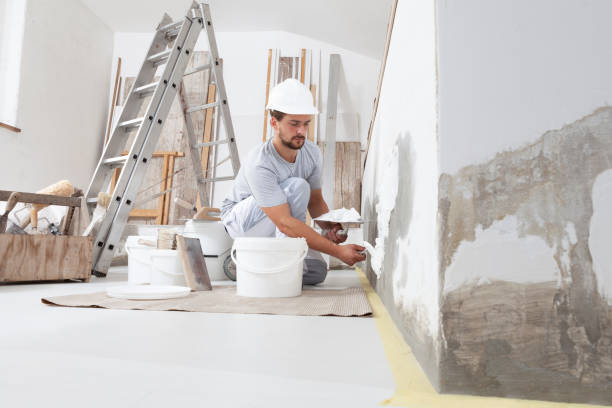 Biohazard Mold Removal in Liberty, UT
